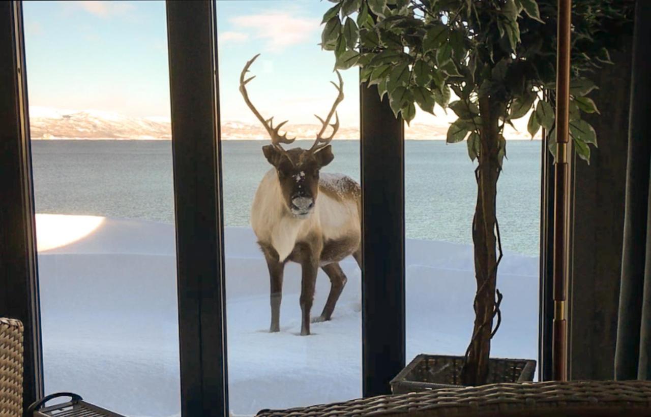Nice Little House Right By The Sea, Stunning View Rensa Esterno foto